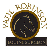 equine surgeon